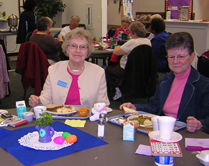 Senior Nutrition Programs