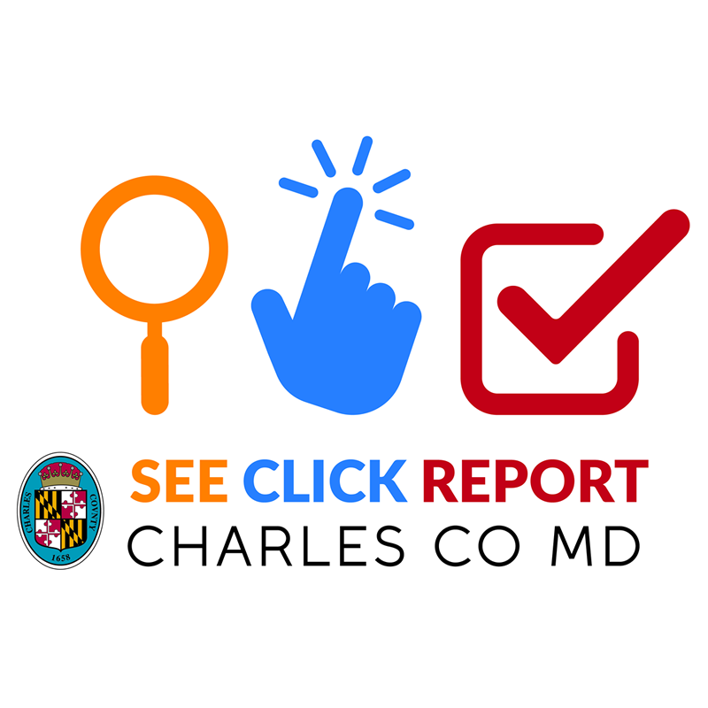 see_click_report_800x800