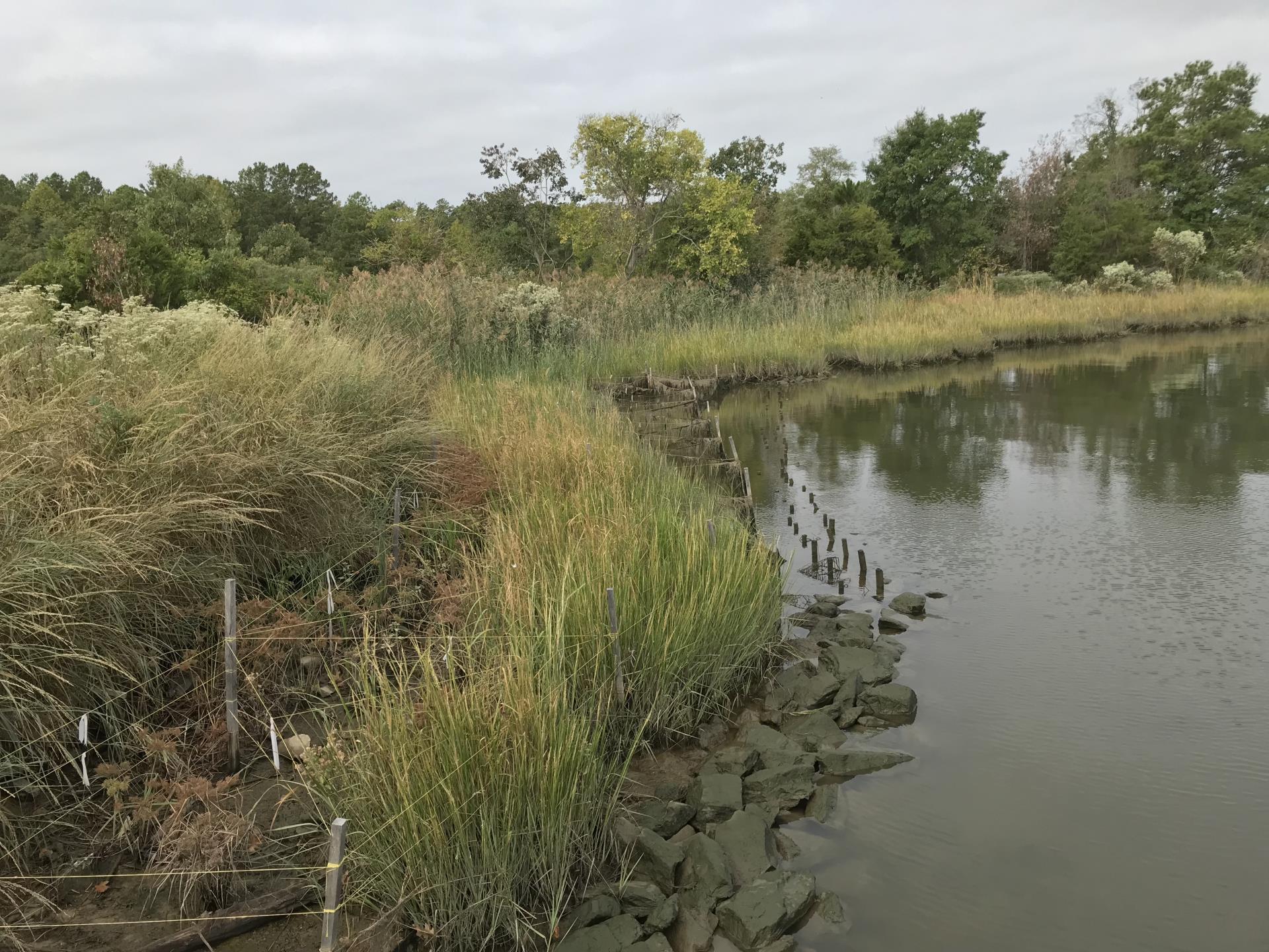 Swan Point Shoreline Stabilization (21)