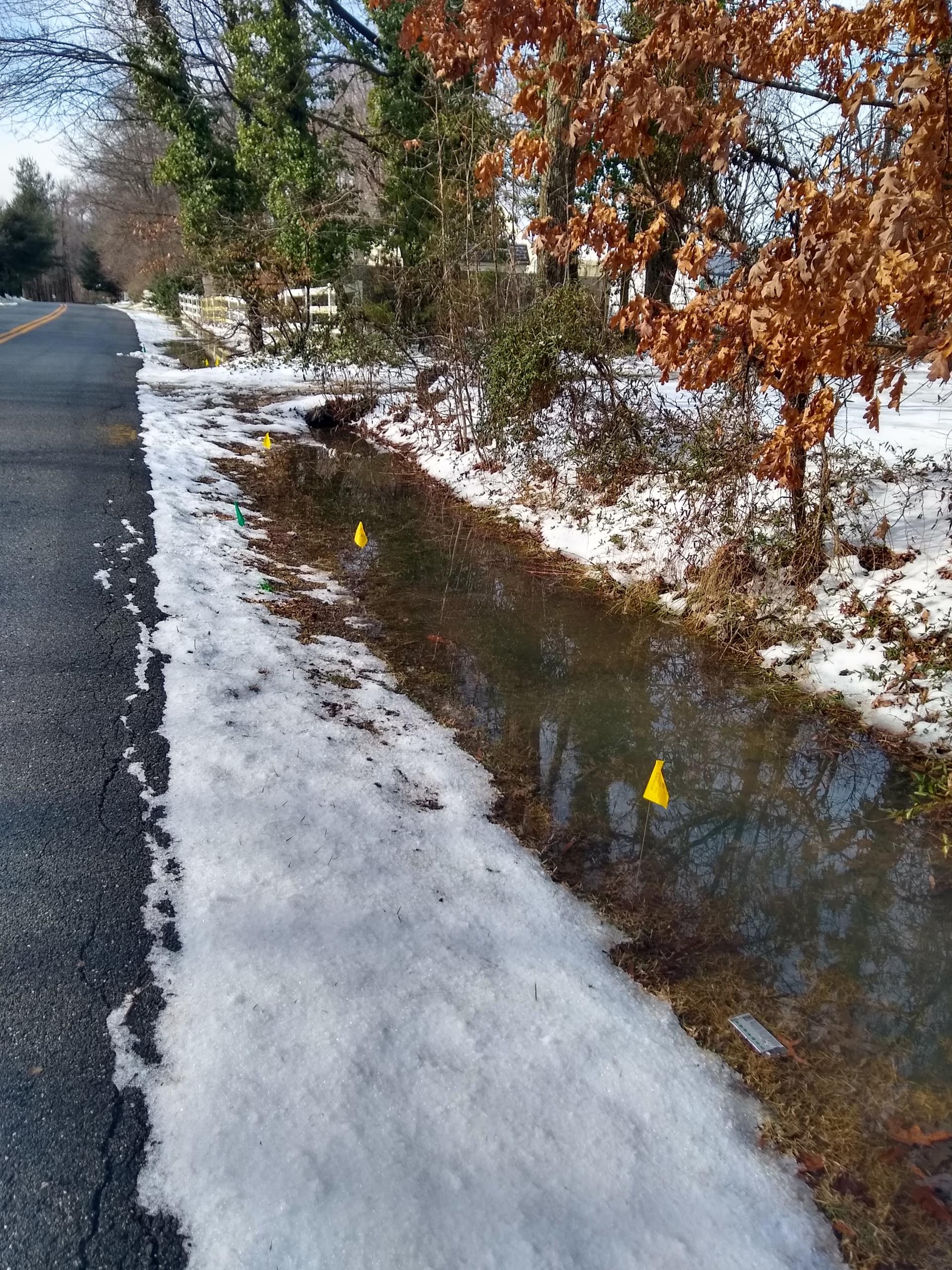 Stavors Rd Improvements (2)